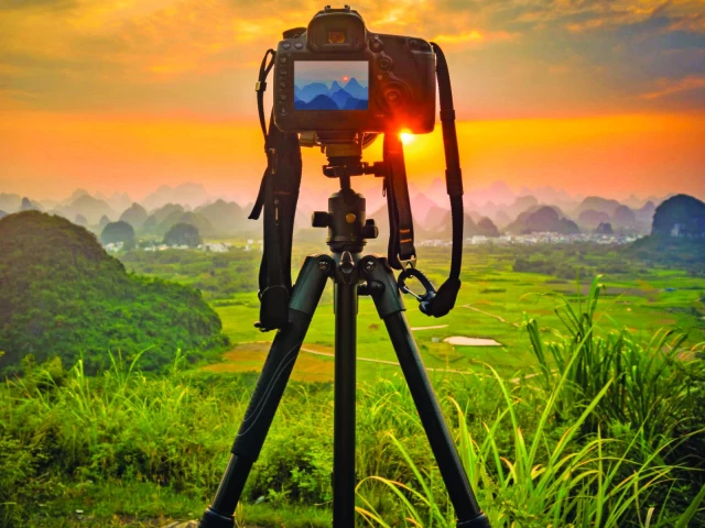 flashbulbs photo file