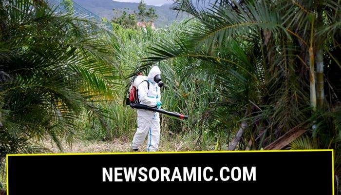An ARS vector control agent operates as part of the fight against the Chikungunya pandemic by mosquitoes in Saint-Benoit on the French overseas island of La Reunion on April 22, 2025. — AFP
