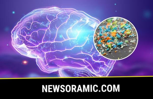 What impact are microplastics having on our brains? - SUCH TV