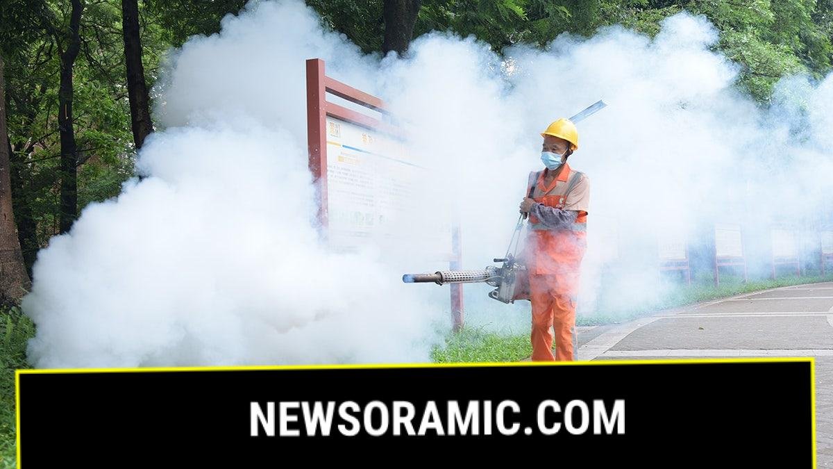 Chikungunya virus outbreak in China