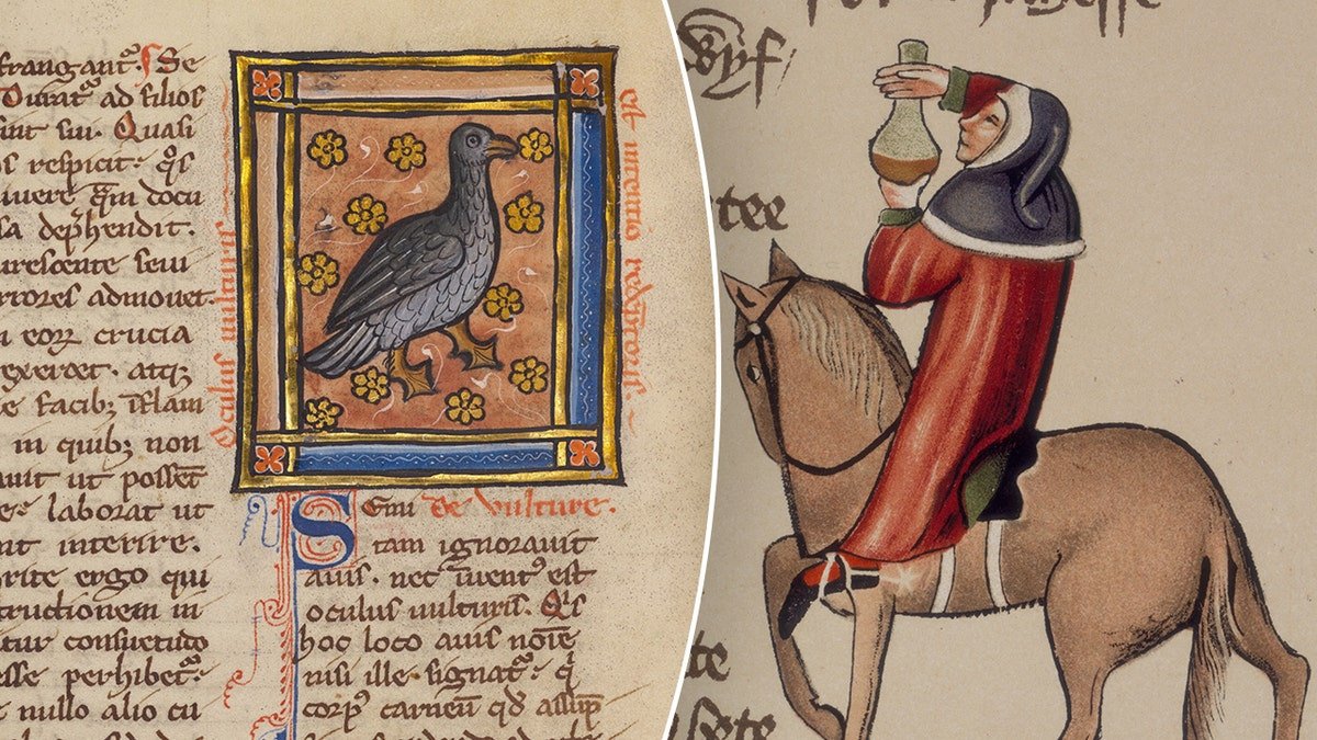 Medieval vulture cure paired with mounted figure holding bottle