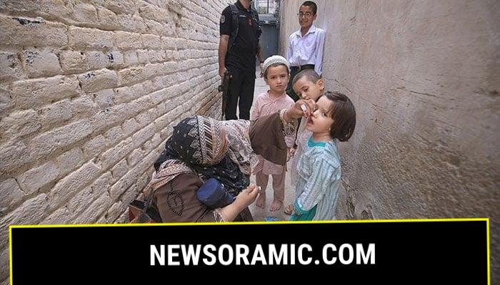 Female Polio worker administering polio drops to children at Warsak road during anti-polio vaccination campaign in Peshawar on September 9, 2024. — APP