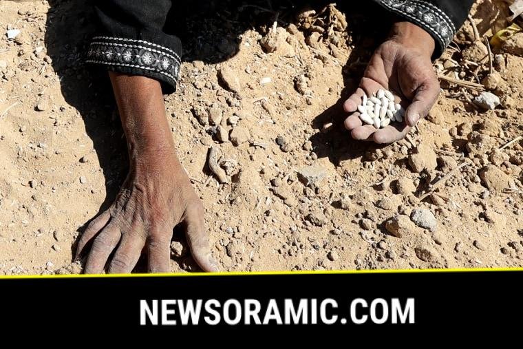 TOPSHOT-PALESTINIAN-ISRAEL-CONFLICT-GAZA-AID