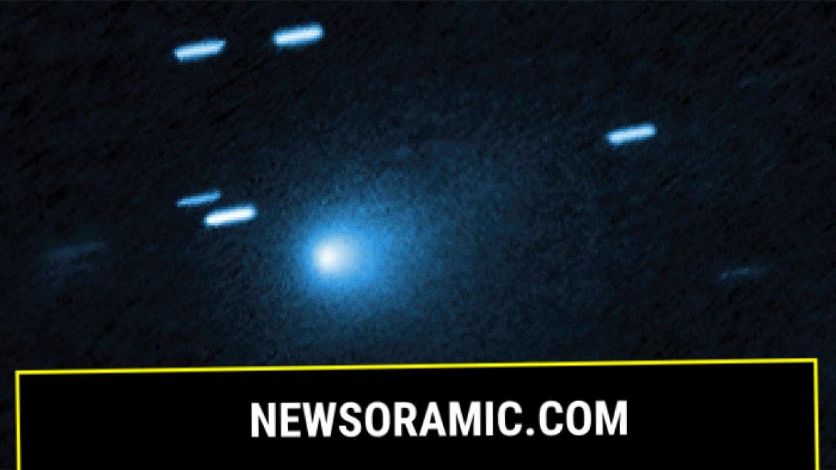 Astronomers discovered an unusual object entered our solar system earlier this month, but a Harvard physicist is sounding alarms that the object could be an alien probe.