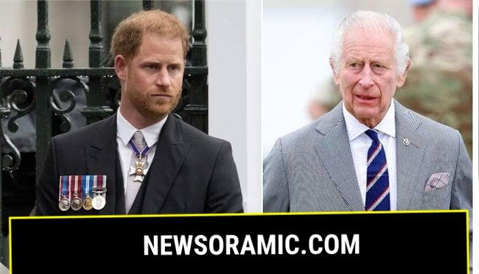 Prince Harry risking his future with Diana documentary: report