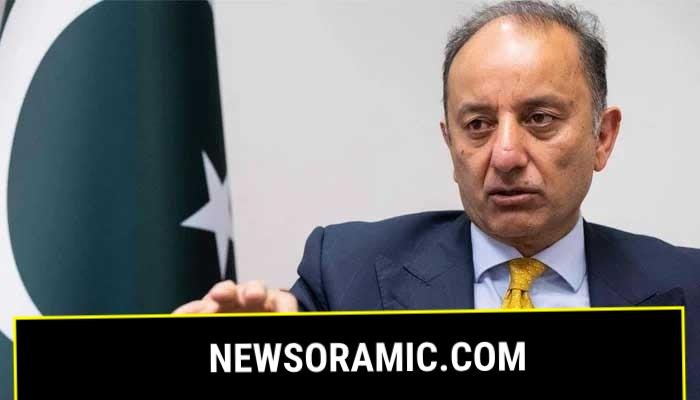 Federal Minister for Climate Change and Environmental Coordination Musadik Malik gestures as he speaks to reporters in this undated photo. — AFP/File
