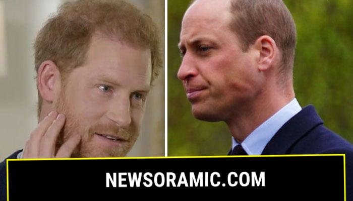 Insider exposes the lengths Prince William has gone to for Prince Harry