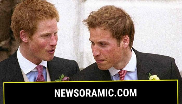 Prince Williams decision about Harry sparks reactions