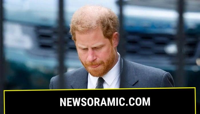 Prince Harry schooled over ‘guns in US amid safety concerns
