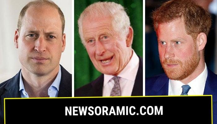 Prince William’s chances of attending King Charles’ peace talks comes to light