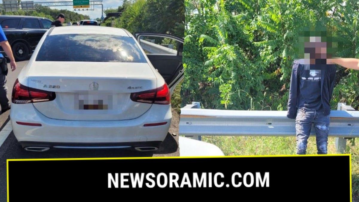 U.S. Customs and Border Protection (CBP) help arrested a suspected carjacker in Washington, D.C.