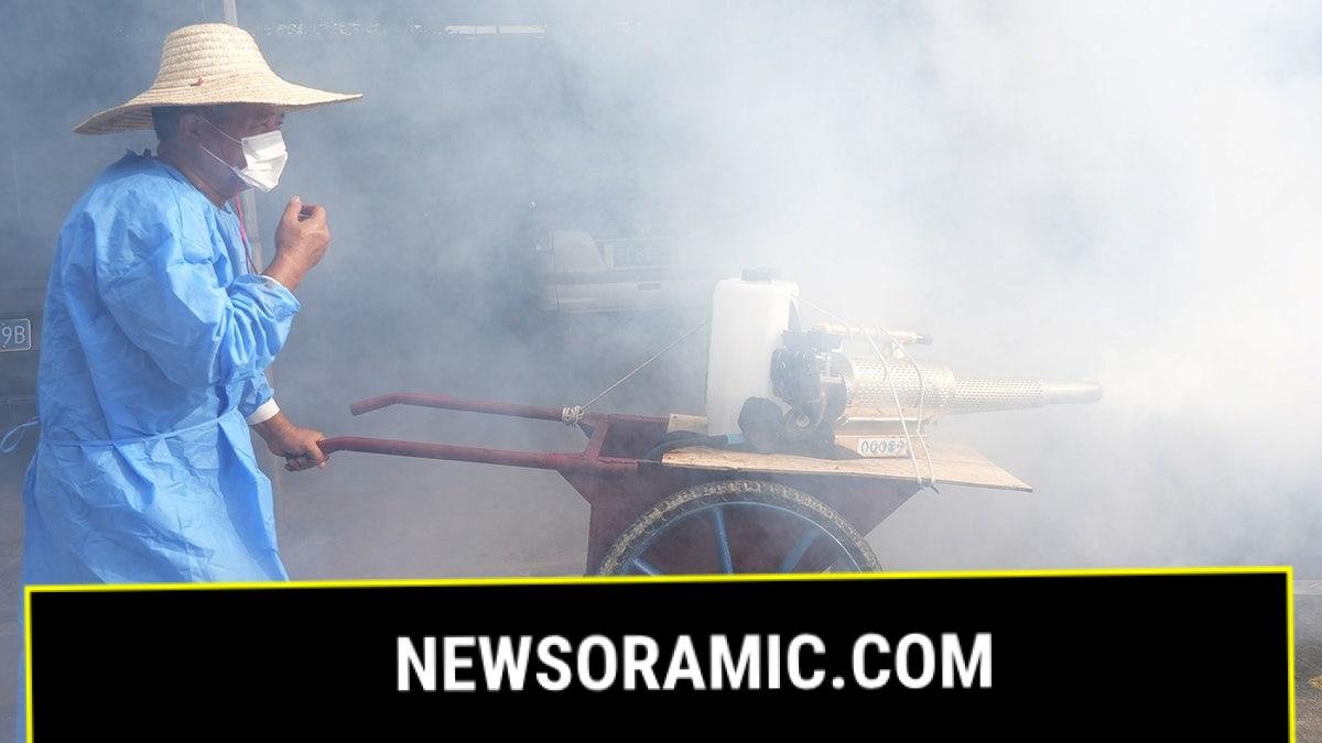 Worker spraying for virus in Guangdog