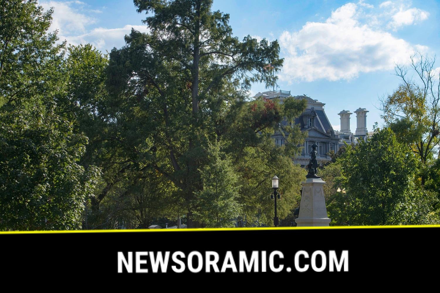 Flag burning incident near White House leads to arrest hours after Trump's executive order