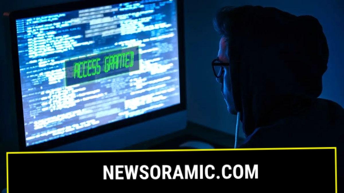 Person looks at their computer screen full of code and the phrase "access granted."