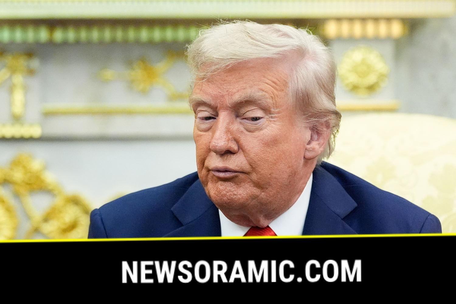 'Maybe they will, maybe they won't': Trump voices doubt over Zelenskyy-Putin talks