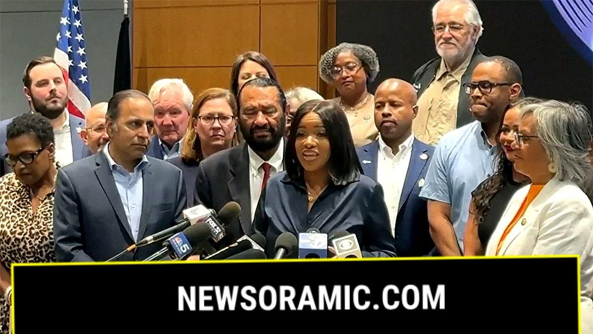 Texas Democrats speak in Illinois