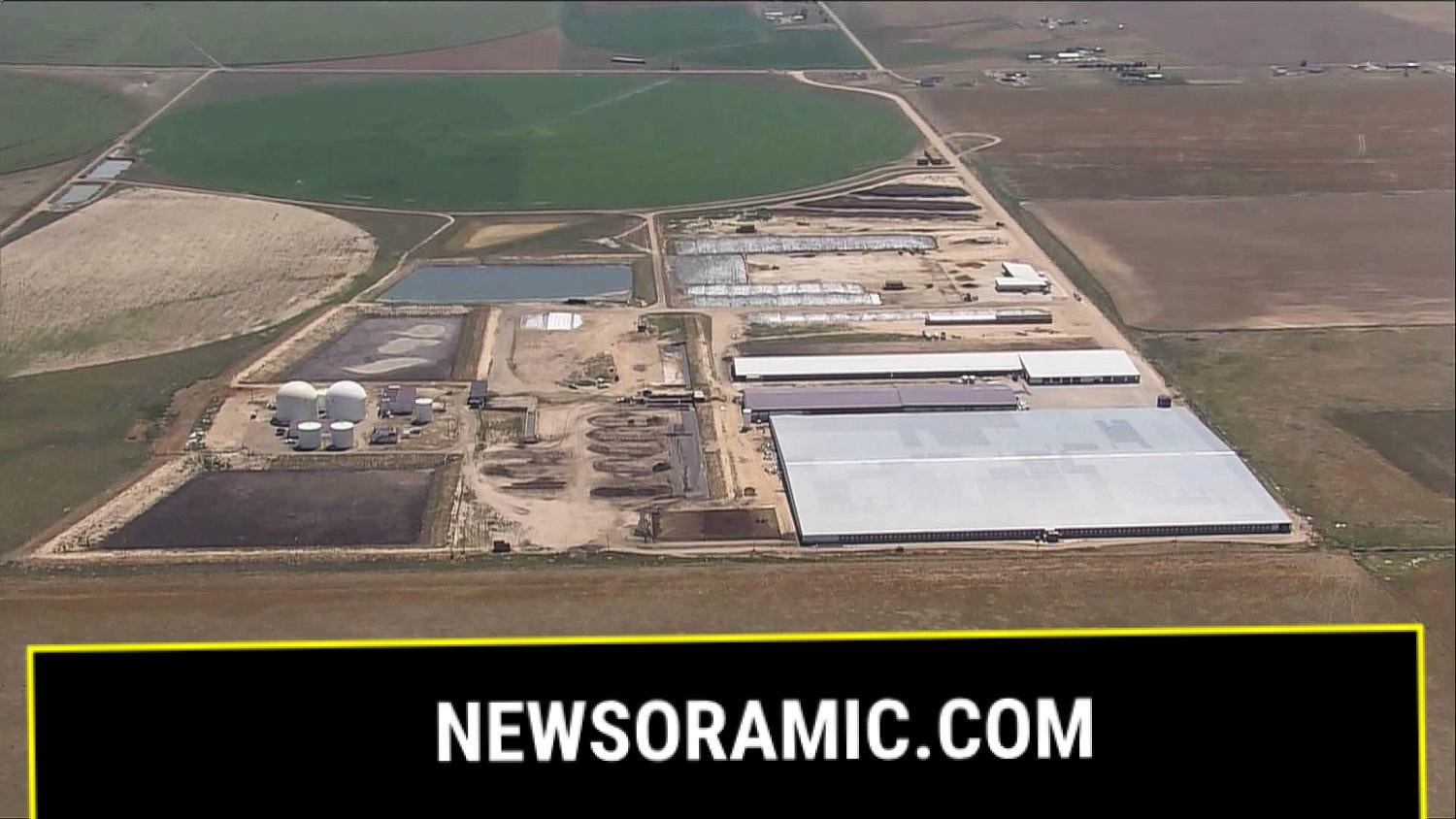 Six dead in accident at Colorado dairy