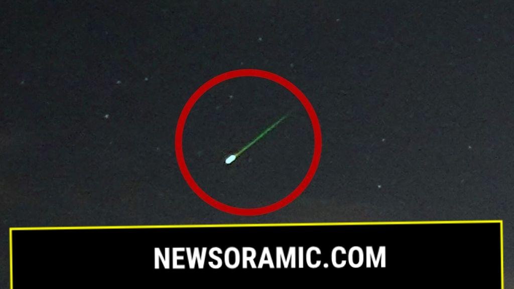 Perseids meteor shower lights up night skies