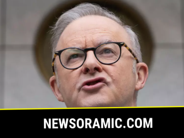 The dictionary cited Australian Prime Minister Anthony Albanese's use of the phrase 'delulu with no solulu' AFP/File