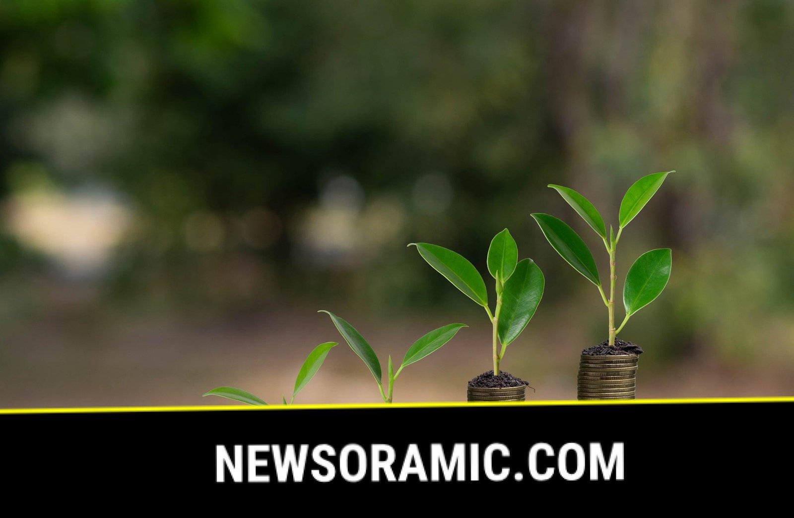 The tax-free way to save thousands for your children by the time they turn 18