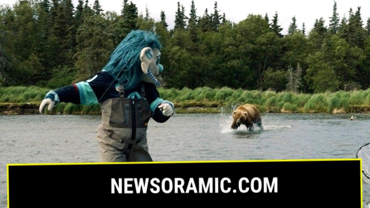 Brown bear chases Kraken mascot