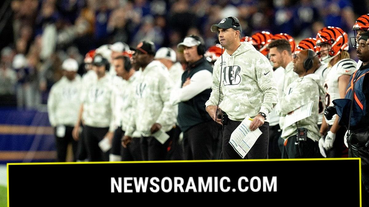 Zac Taylor looks on during a game