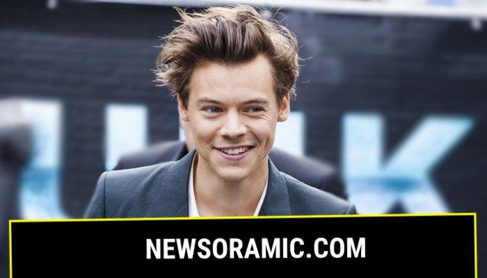 One Direction sparks new romance rumours following his recent outing with Zoe Kravitz