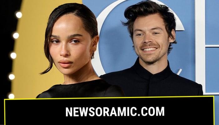 Harry Styles makes first appearance with Zoe Kravitz after wedding