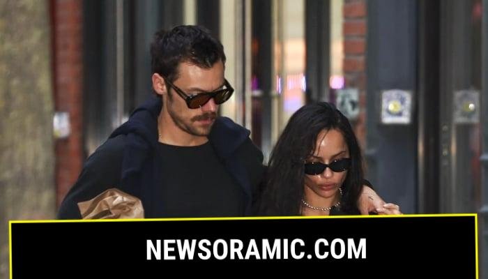 Zoe Kravitz and Harry Styles have been walking hand in hand from Rome to New York City