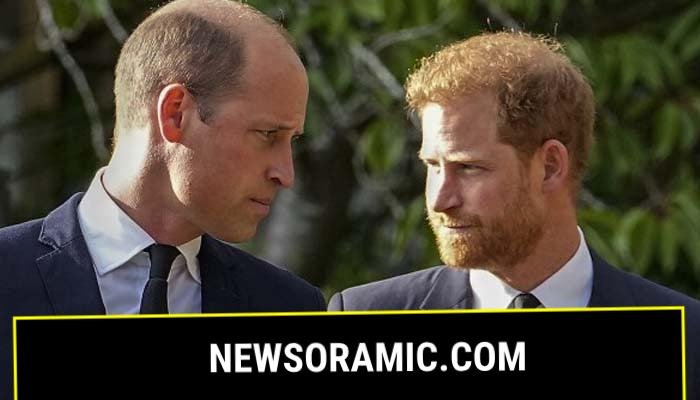 Prince William, Harry could have explosive war over Princess Dianas legacy