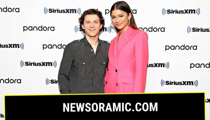 Zendaya, Tom Hollands marriage details revealed