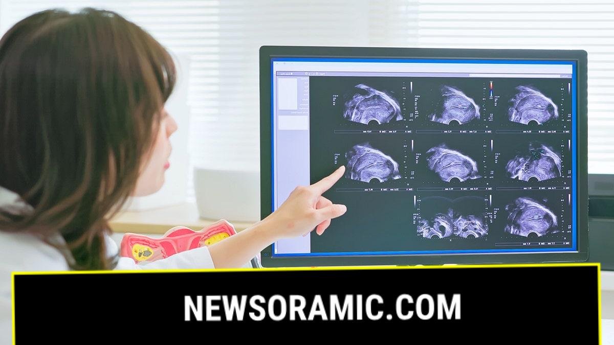 OBGYN review ultrasound on computer