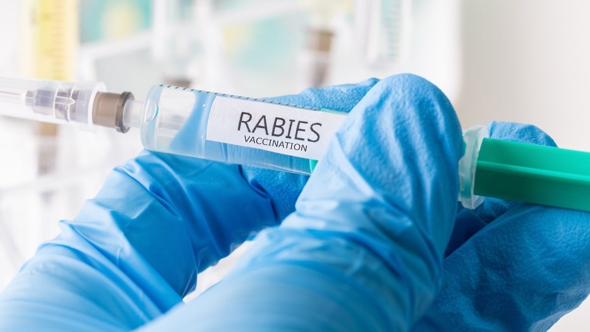Rabies vaccine