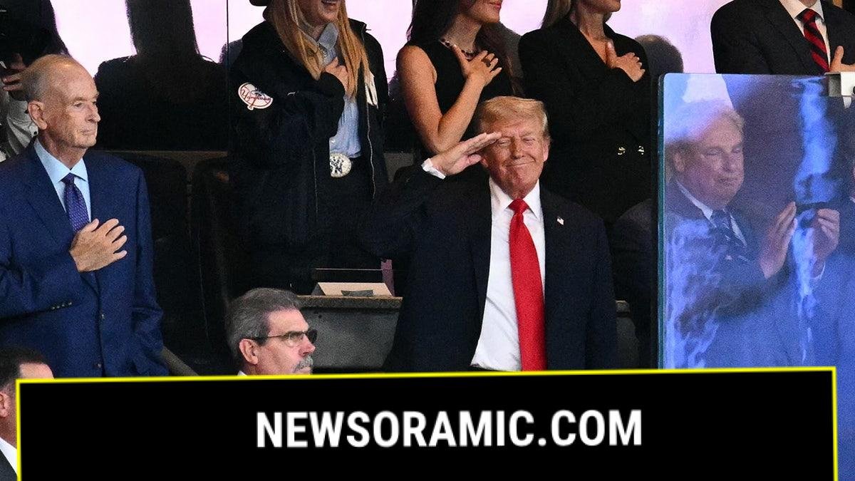 Trump saluting at Yankee game