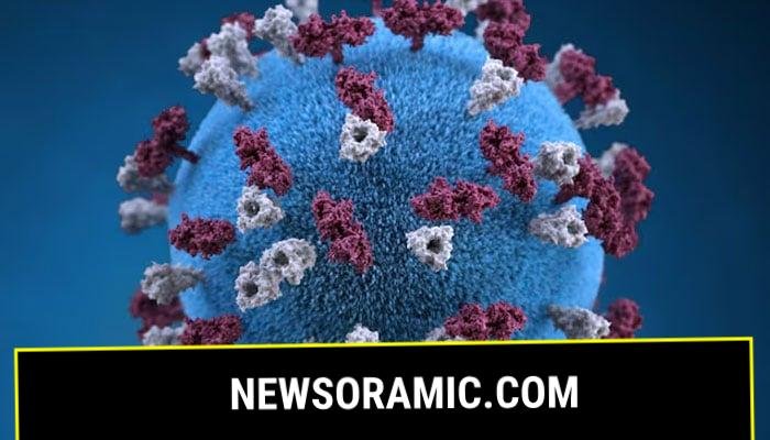 An illustration provides a 3D graphical representation of a spherical-shaped, measles virus particle studded with glycoprotein tubercles in this handout image obtained by Reuters April 9, 2019. — Reuters