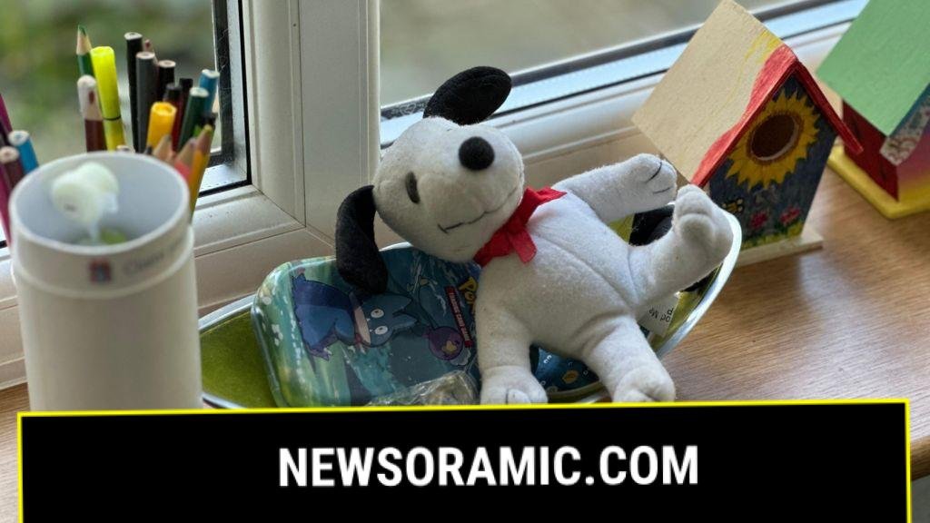 Cost of children's homes doubles but care can be poor