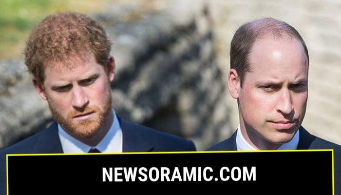 Prince Harry urged to ditch Califronia-speak to become like Prince William