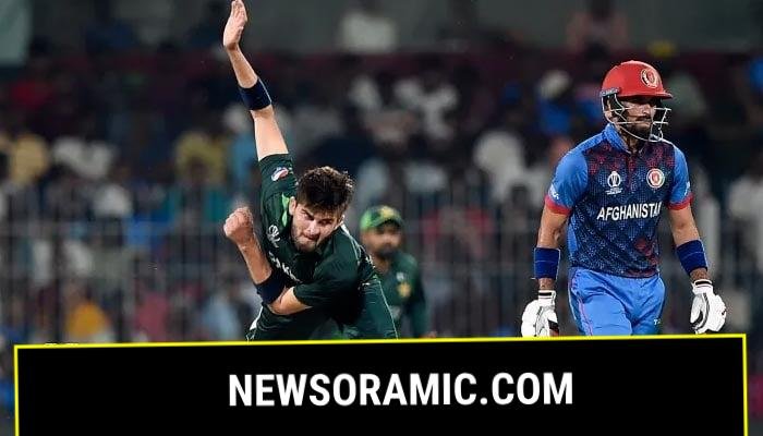 Pacer Shaheen Afridi bowls against Afghanistan during ICC Cricket World Cup match in 2023. — Reuters