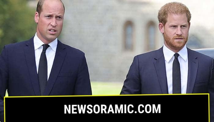 Prince Harrys Ukraine visit deepens feud with William
