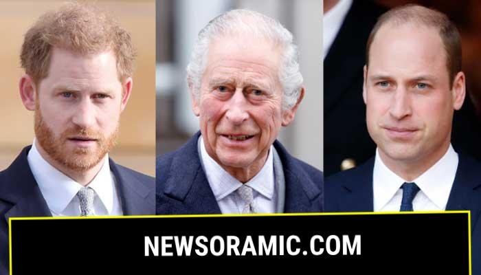 King Charles and Prince Harry meeting seen as snub to Prince William