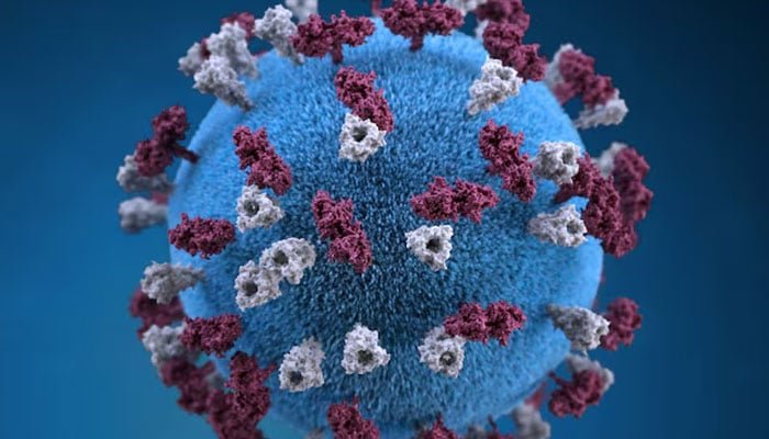 An illustration provides a 3D graphical representation of a spherical-shaped, measles virus particle studded with glycoprotein tubercles in this handout image obtained by Reuters April 9, 2019. — Reuters