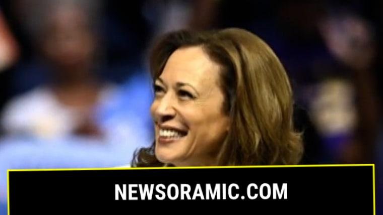 Harris calls Biden's bid for re-election 'reckless'