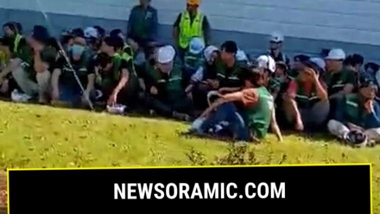 Hundreds detained at Hyundai plant after raid