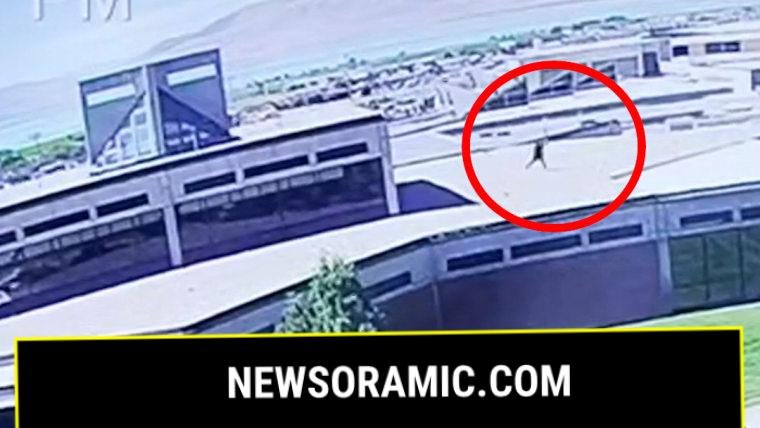 New video shows Charlie Kirk shooting suspect fleeing