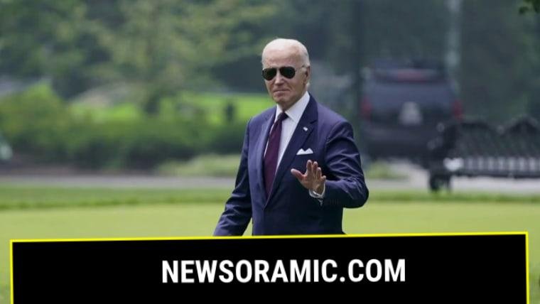 'No way': Democratic donors balk at donating to Biden's presidential library