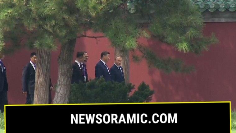 President Xi Jinping and President Vladimir Putin walk together after talks