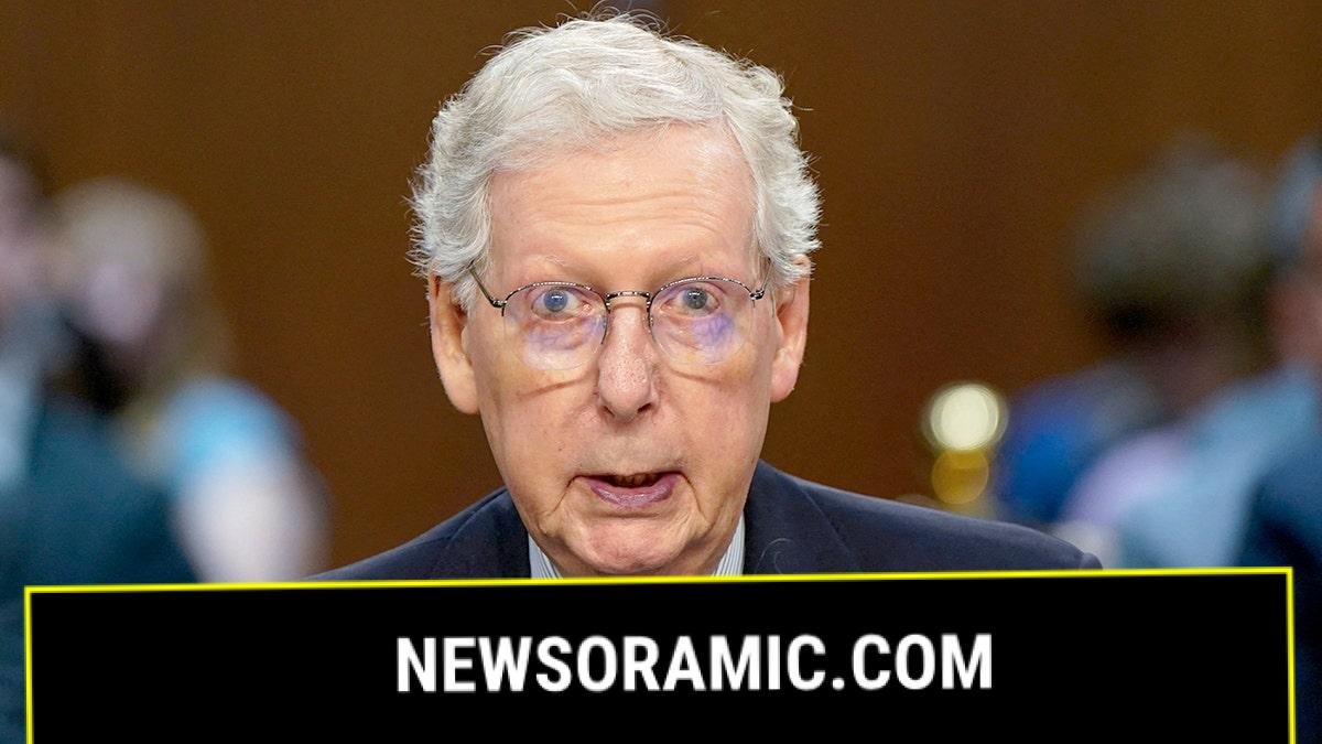 Mitch McConnell speaks at a hearing.