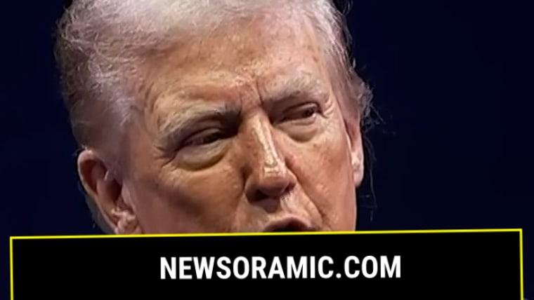 Trump appears to dismiss D.C. domestic abuse statistics