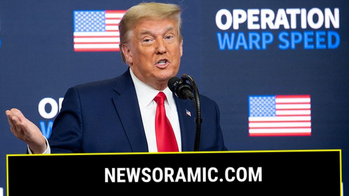 President Trump in 2020