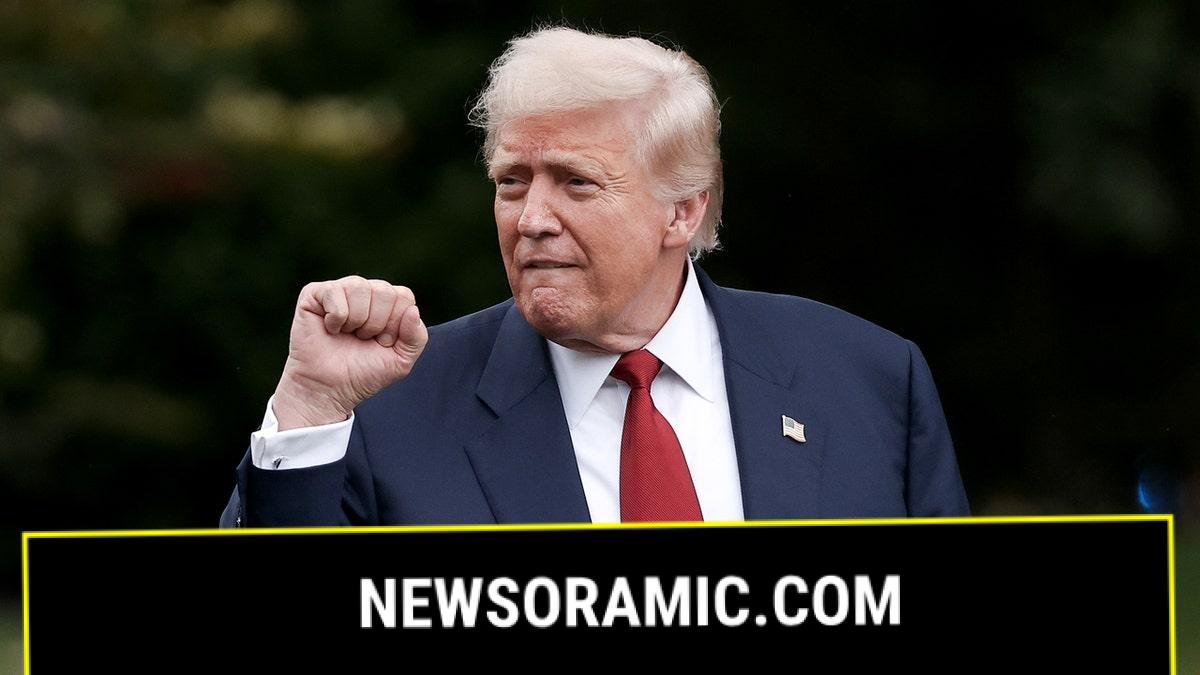 President Donald Trump pumps fist